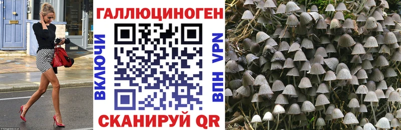 Псилоцибиновые грибы MAGIC MUSHROOMS  купить наркотики сайты  Каменка 