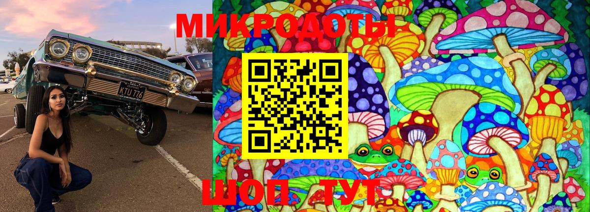 Псилоцибиновые грибы GOLDEN TEACHER  Каменка  сколько стоит  Галлюциногенные грибы прущие грибы 