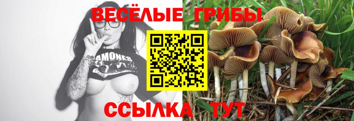 Псилоцибиновые грибы Psilocybine cubensis  Псилоцибиновые грибы мухоморы  Вход с VPN  Каменка 
