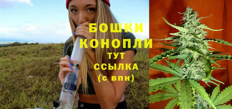 Бошки марихуана THC 21%  Каменка 