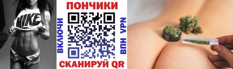 Бошки марихуана OG Kush  blacksprut сайт  Каменка 